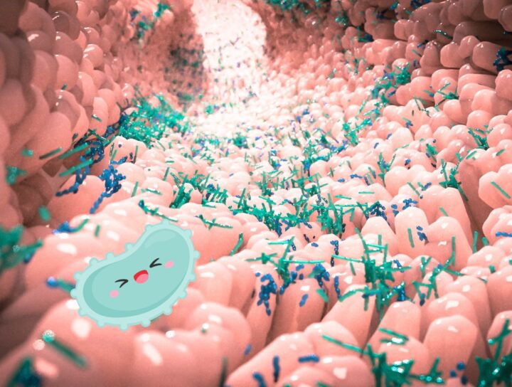 Microbioma orale | Blog | Studio Dentistico Stramesi Milano