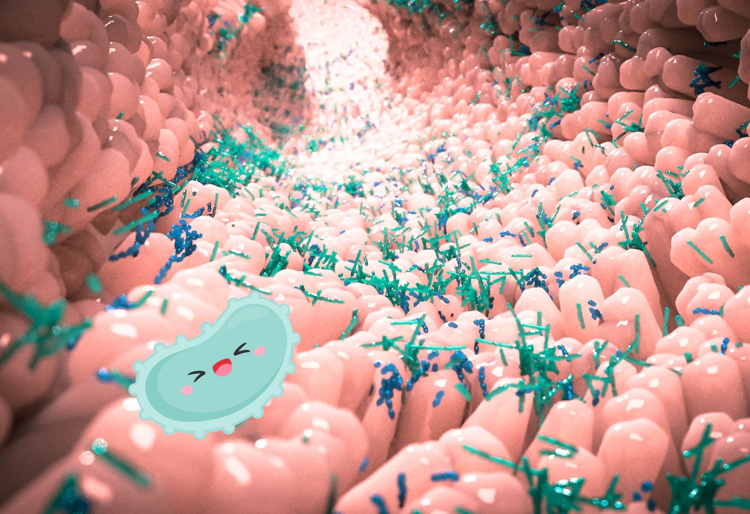 Microbioma orale | Blog | Studio Dentistico Stramesi Milano